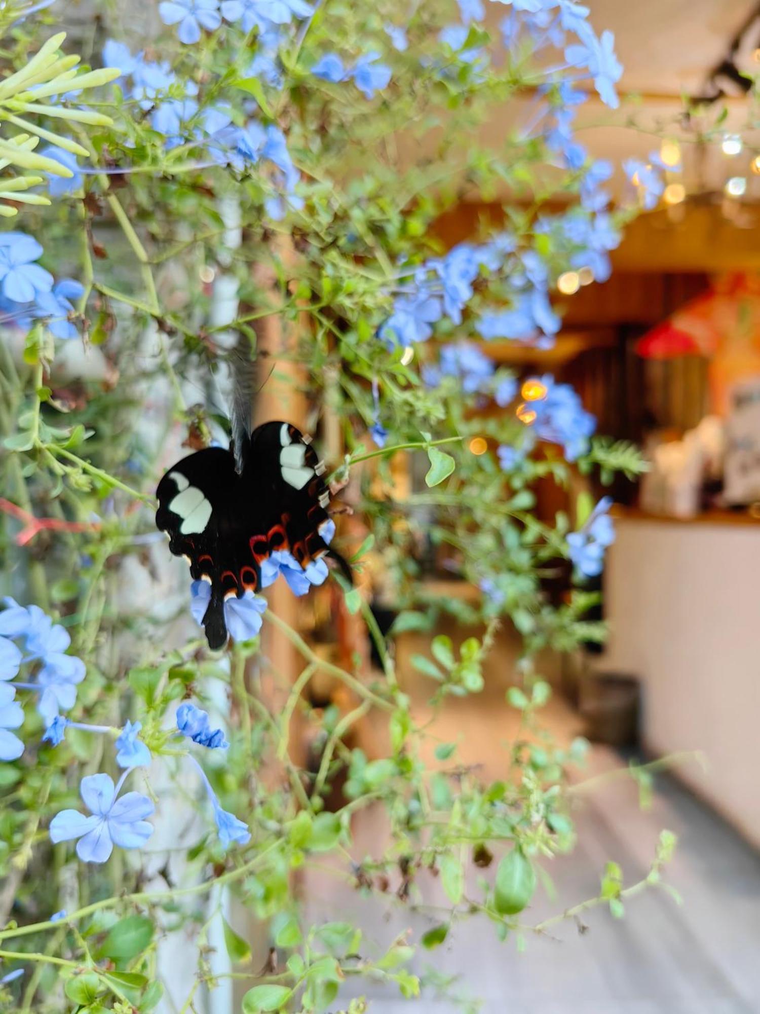 יאנג שואו Autumn Inn מראה חיצוני תמונה